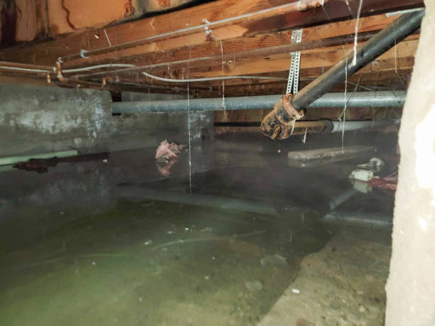 Best Flooded house restoration  in Logan Elm Village, OH