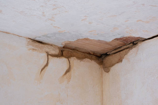 Best Water damage cleanup near me  in Logan Elm Village, OH