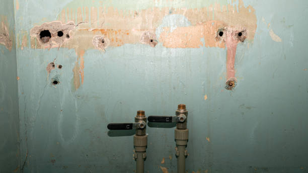  Logan Elm Village, OH Water damage restoration Pros