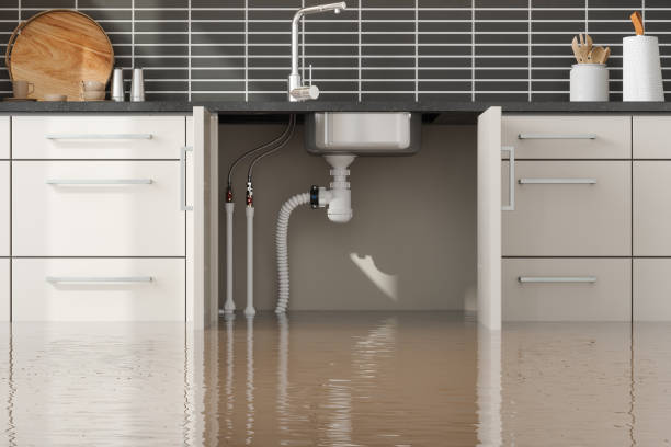 Best 24/7 water damage repair  in Logan Elm Village, OH