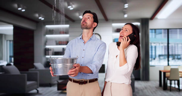 Best Flooded house restoration  in Logan Elm Village, OH